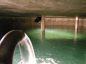 Blick in die Wasserkammer 1