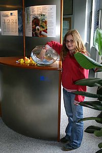 immer ein Gewinn