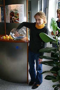 immer ein Gewinn